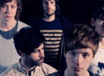 foals