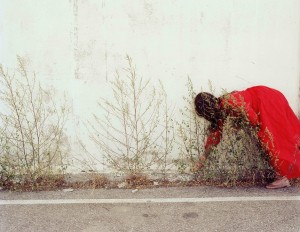 2. WILD GRASS, 2006 © KATE BARRY, GALERIE CINEMA ANNE-DOMINIQUE TOUSSAINT