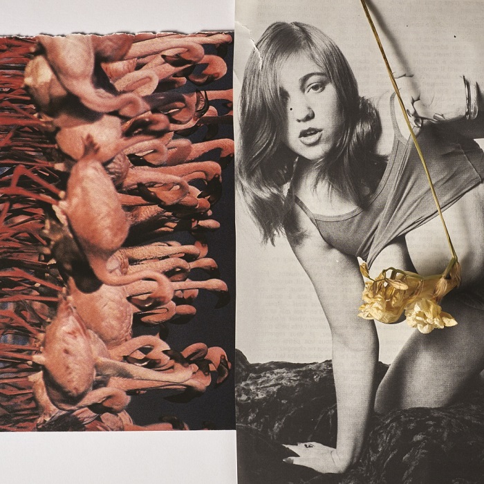 Flamants-roses-by-Jean-Baptiste-Talbourdet-Napoleone