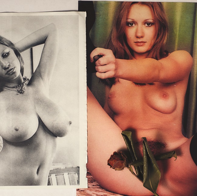 Rose-by-Jean-Baptiste-Talbourdet-Napoleone