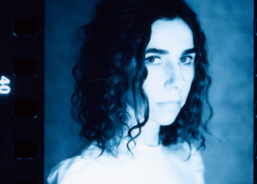 PJ Harvey I Inside the Old Year Dying